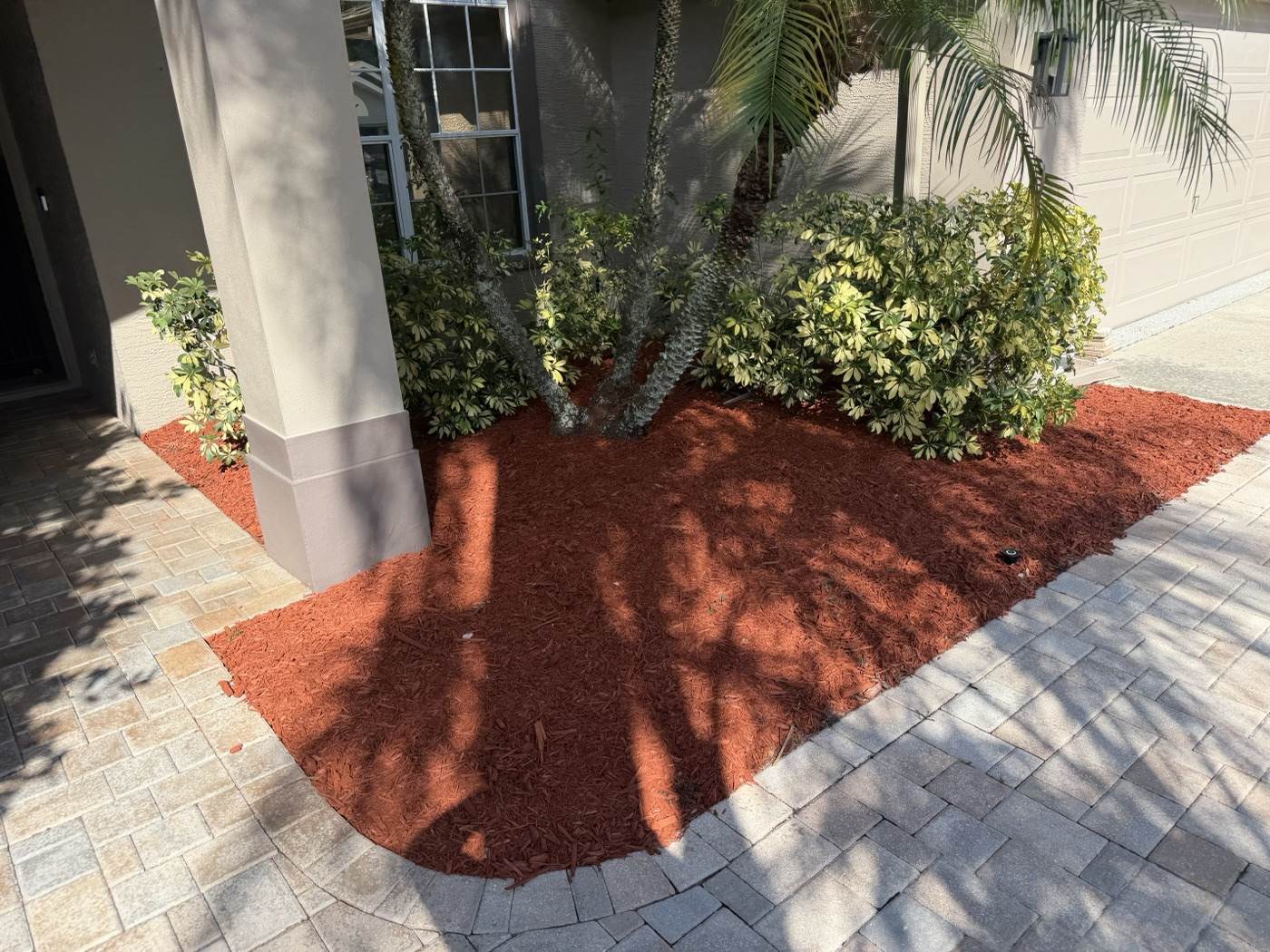 Recent landscape install