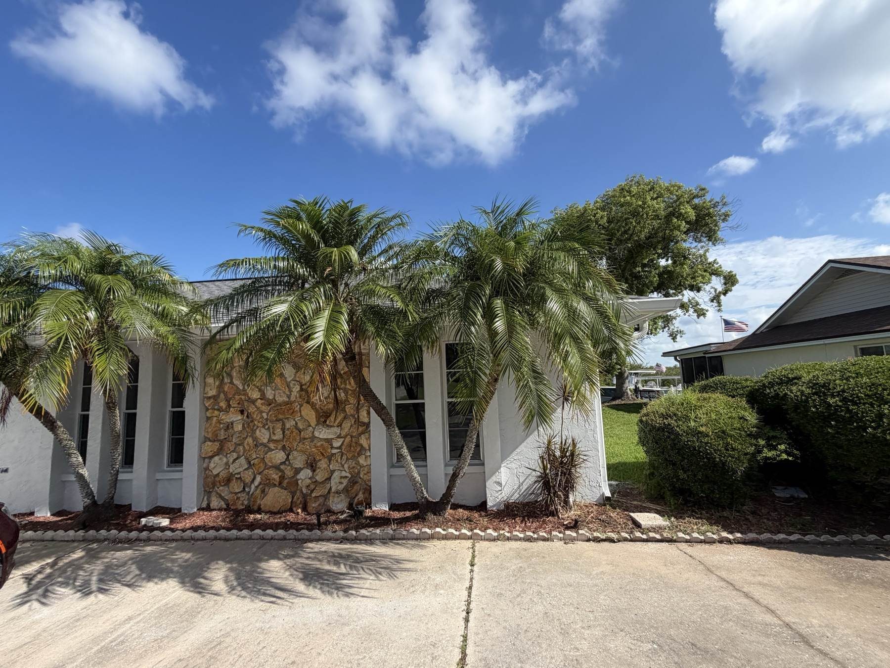 Mature royal palms and manicured landscaping at a Wells Landscaping client home in New Port Richey, FL