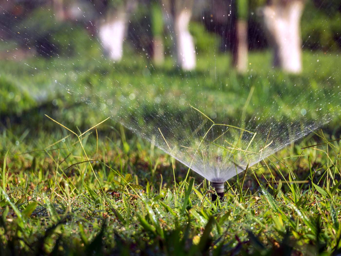 Irrigation & Sprinklers in New Port Richey, FL